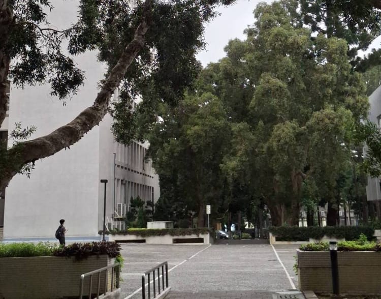 北漂大學生與風城的邂逅與羈絆